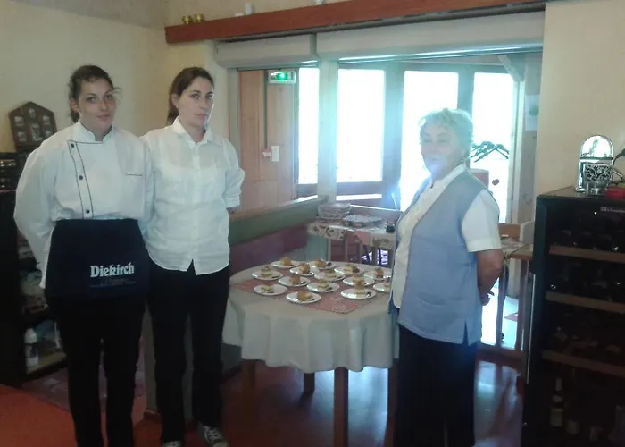 Hotel Restaurant Des Hautes Vosges